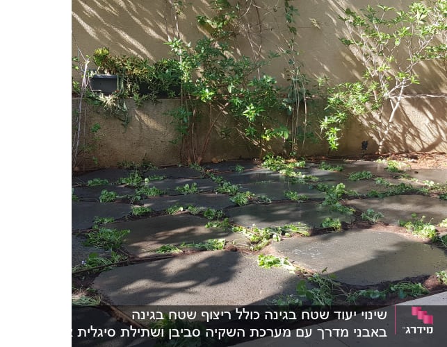 צמחים ירוקים בין אבני ריצוף בגינה קטנה.